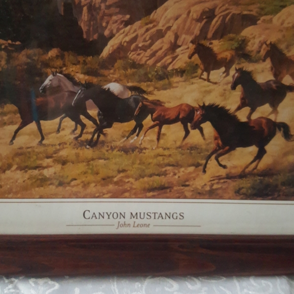 John Leone - Canyon Mustangs & Mare and Foals - Picture 4 of 5